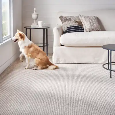 Carpet Flooring Options