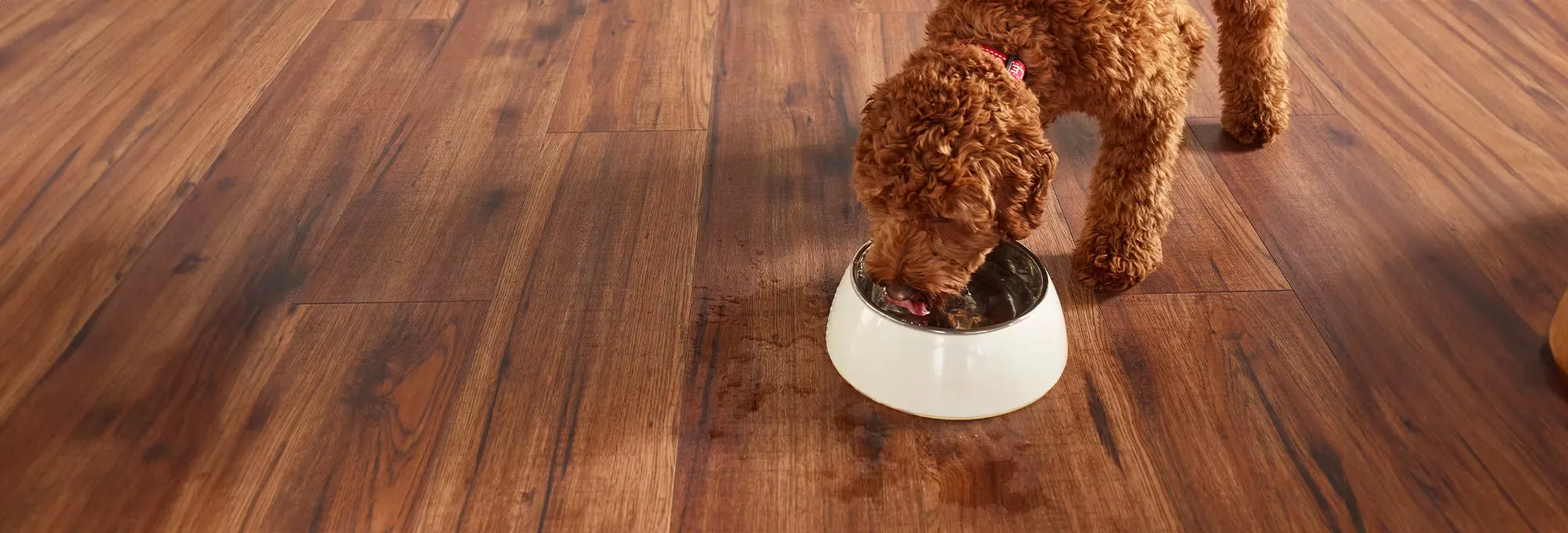 Engineered Floors Hard Surface Flooring 